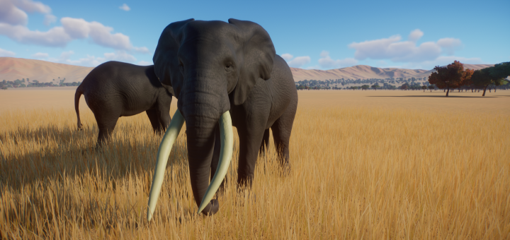 African Elephants - Planet Zoo