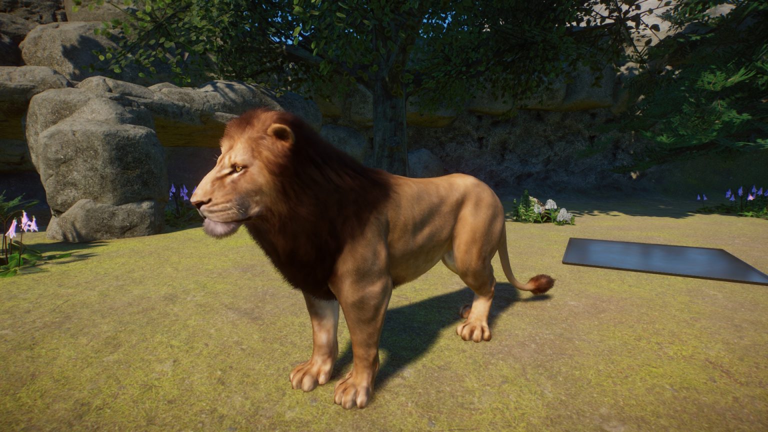 American Lion | Planet Zoo Mod Download