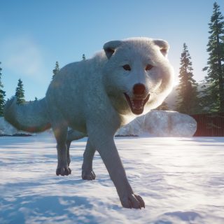 Arctic Fox | Planet Zoo Mod Download