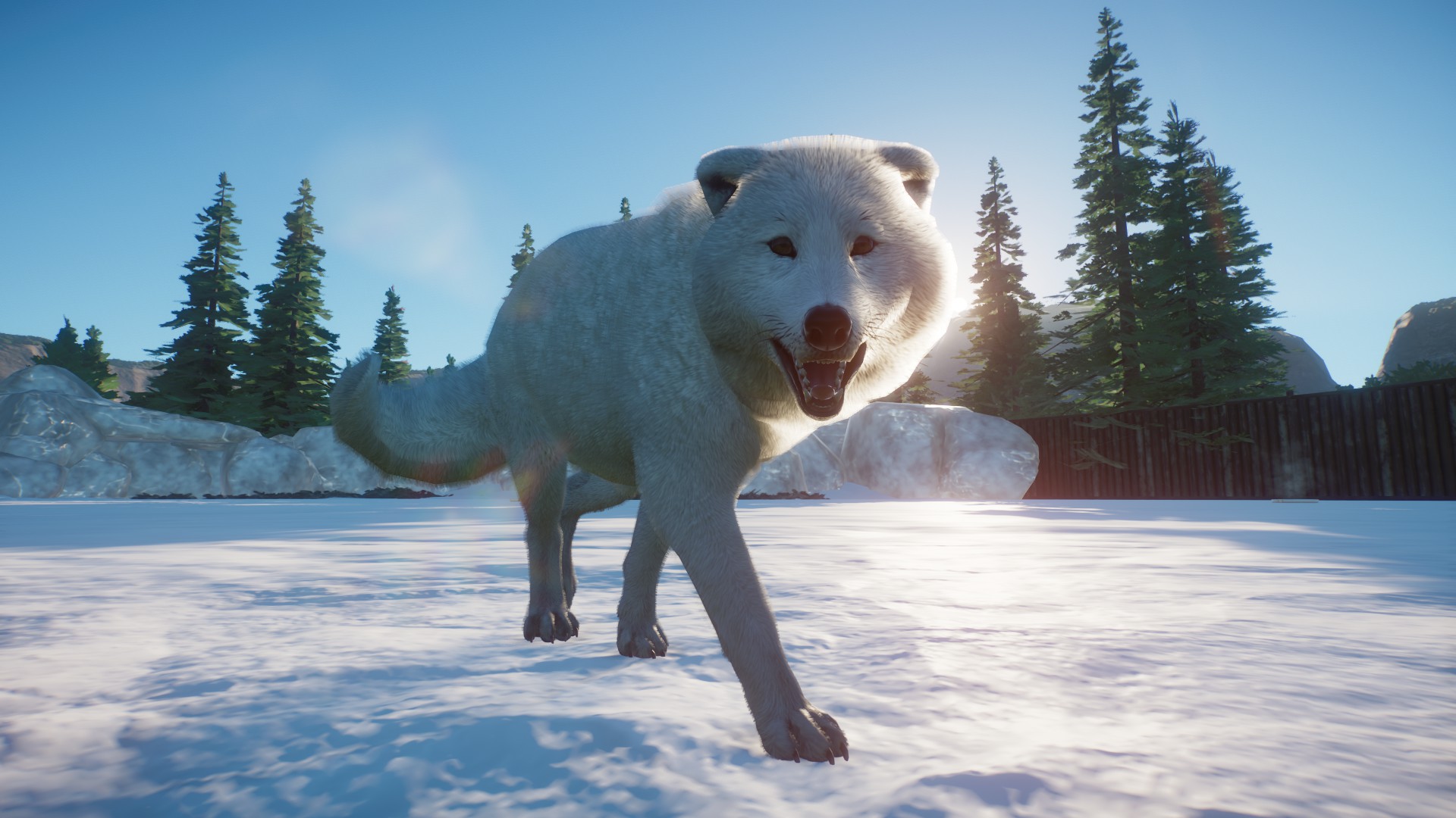 Arctic Fox | Planet Zoo Mod Download