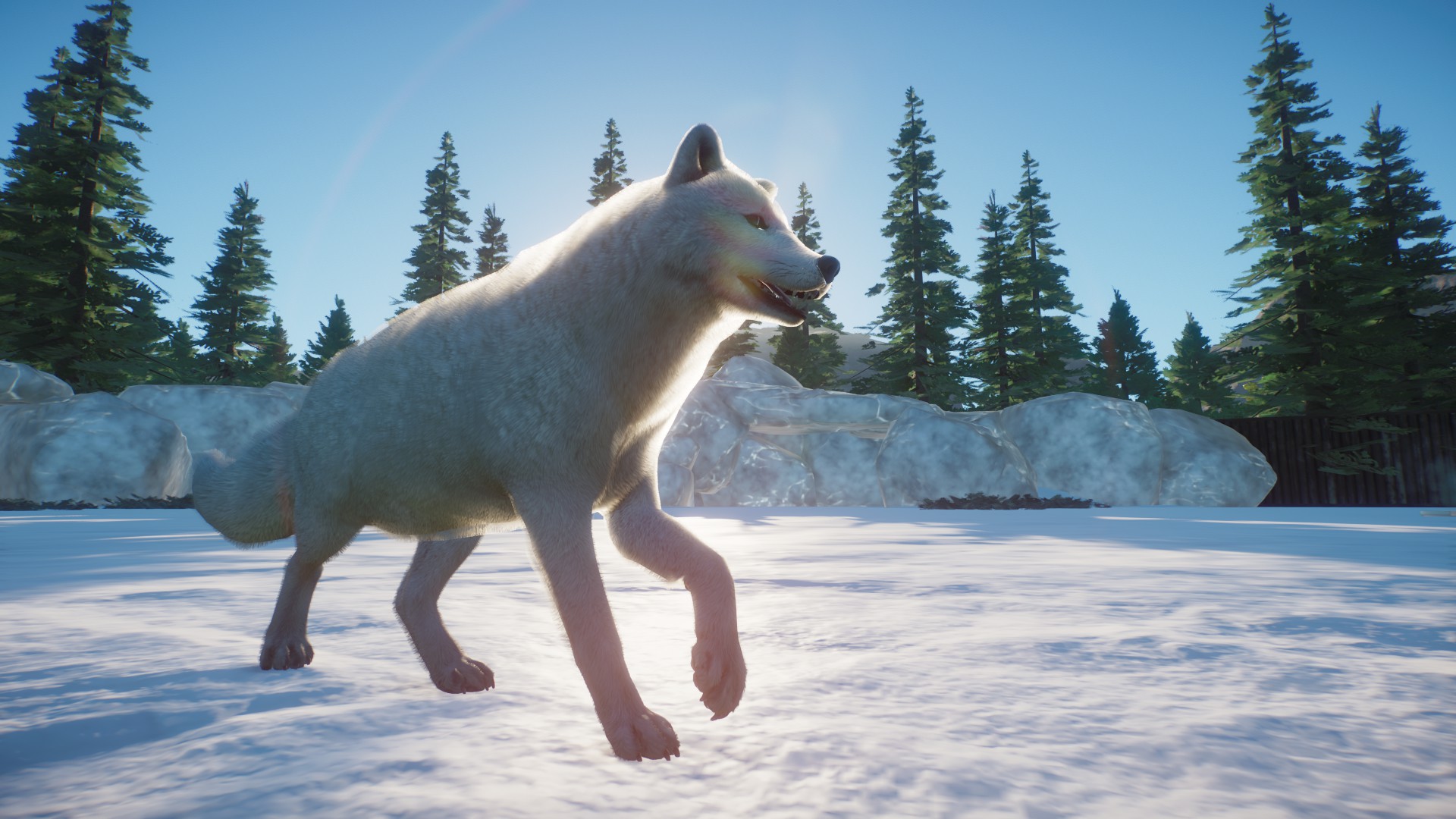 planet zoo beta release date