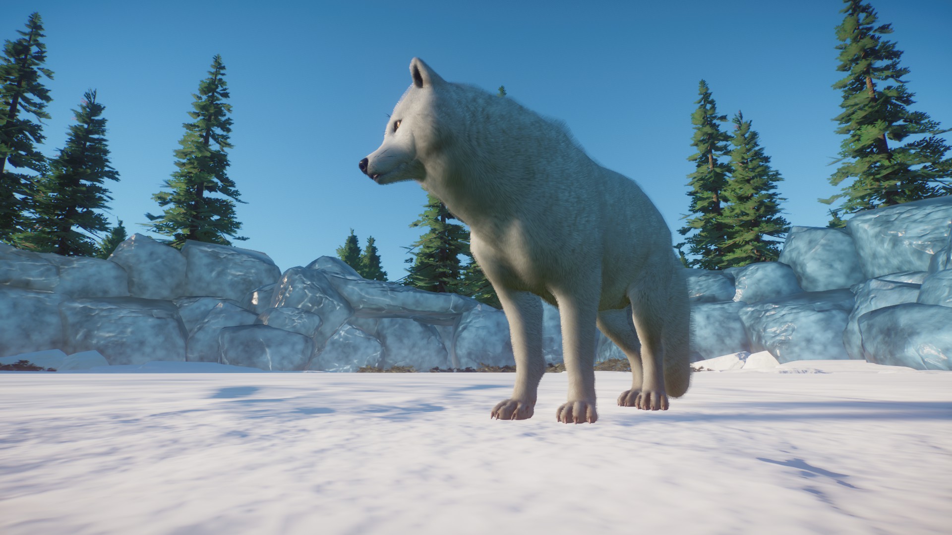 Arctic Fox | Planet Zoo Mod Download