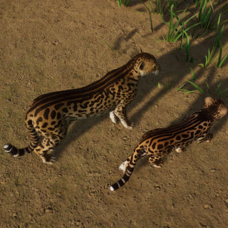 King Cheetah | Planet Zoo Mod Download