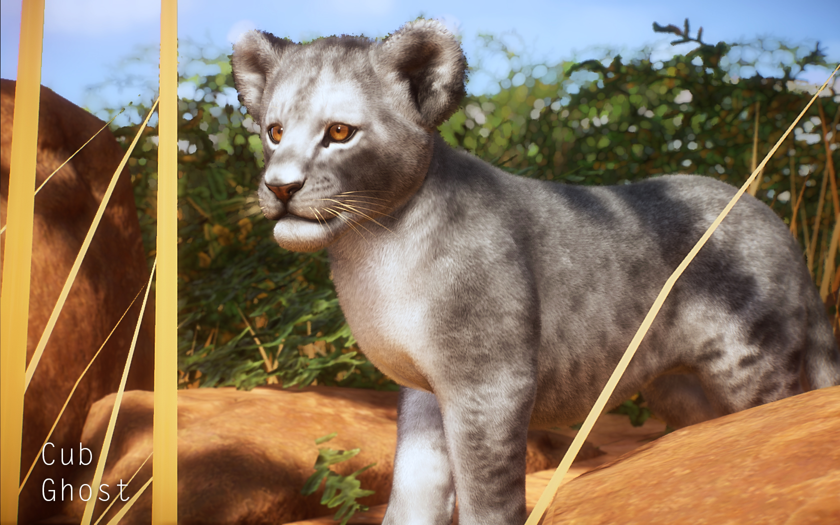 Melanistic Lion | Planet Zoo Mod Download