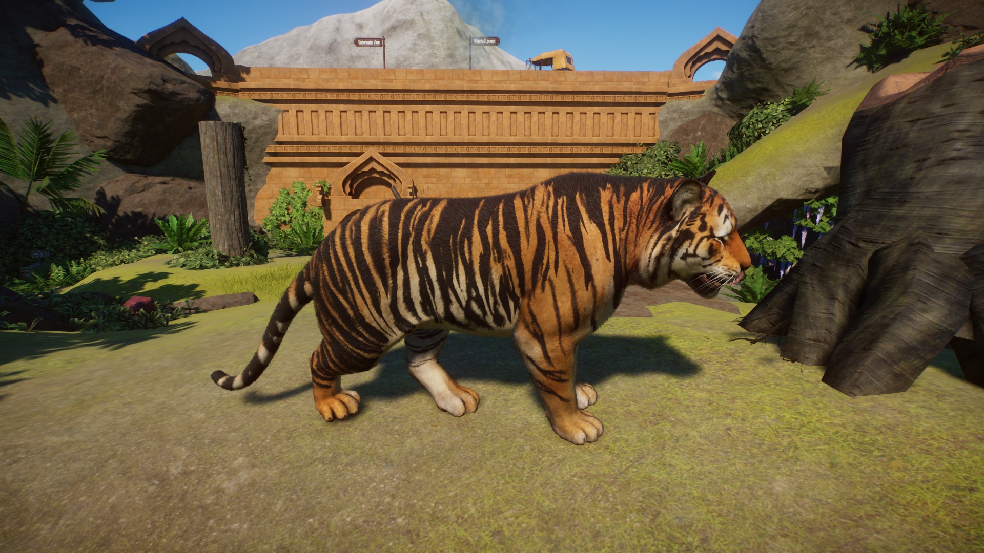 Realistic Melanistic Tiger | Planet Zoo Mod Download