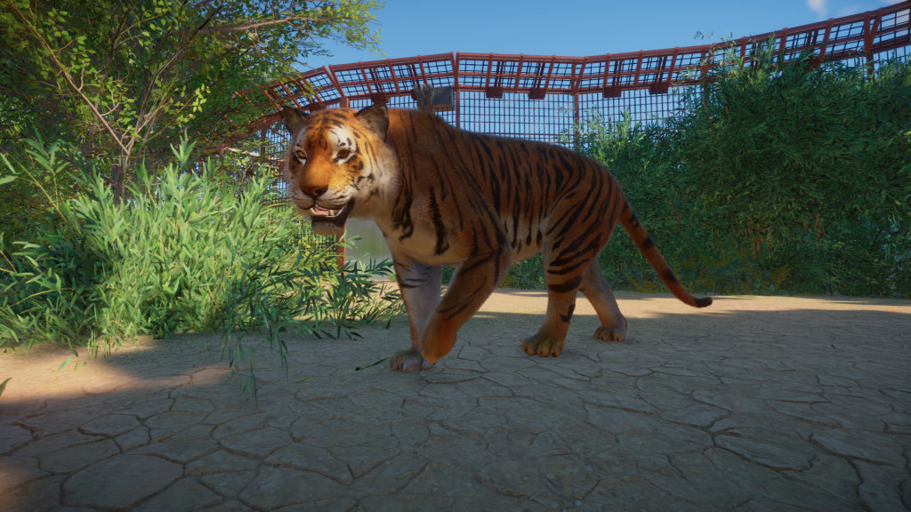 Sumatran Tiger (Updated for 1.4) | Planet Zoo Mod Download