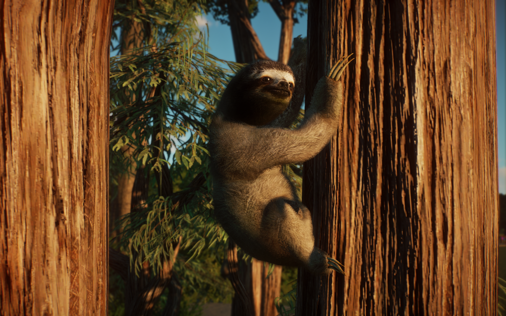 New Species - Brown-throated Three-toed Sloth V1.8 