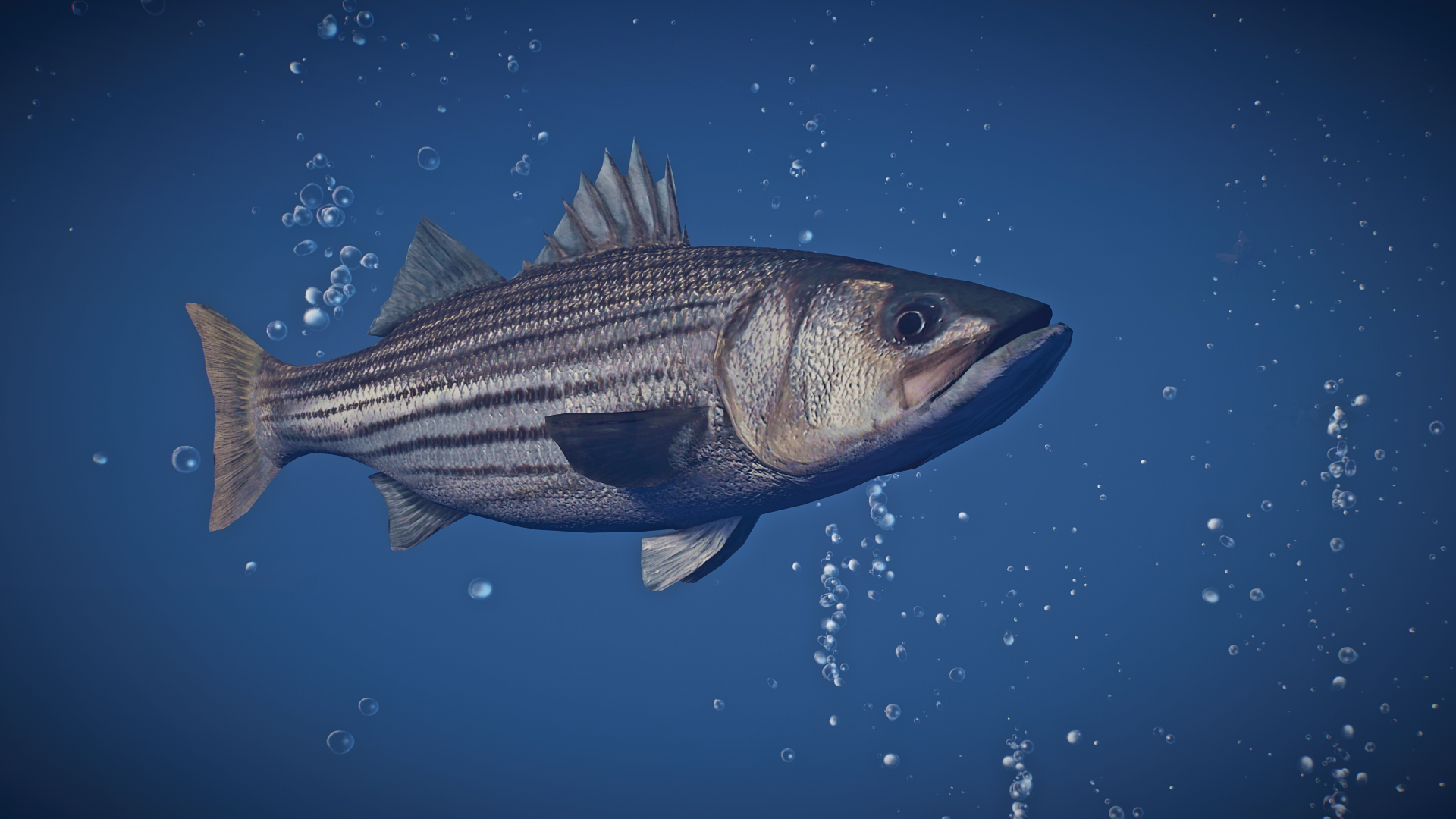 New Species - Striped Bass V1.8.