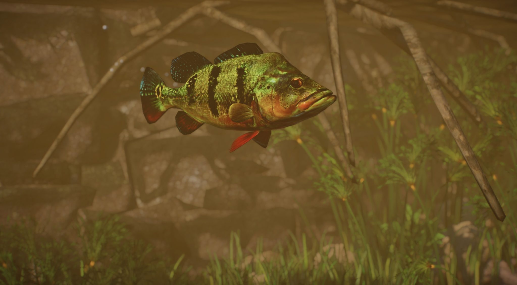 New Species - Butterfly Peacock Bass 1.8 V1.8.1 | Planet Zoo Mod Download