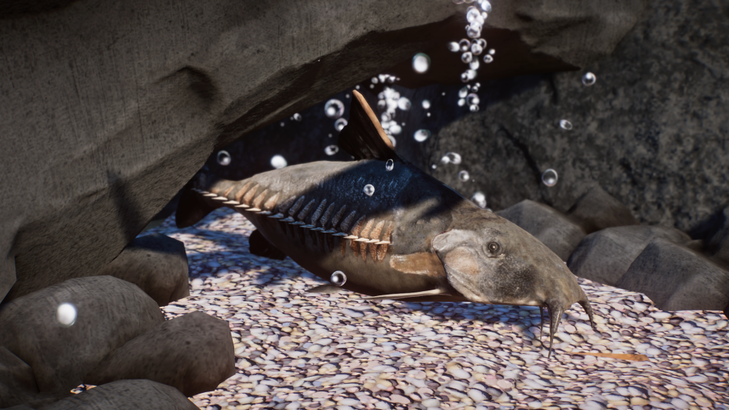 New Species - Ripsaw Catfish 1.8 V1.8.1 | Planet Zoo Mod Download