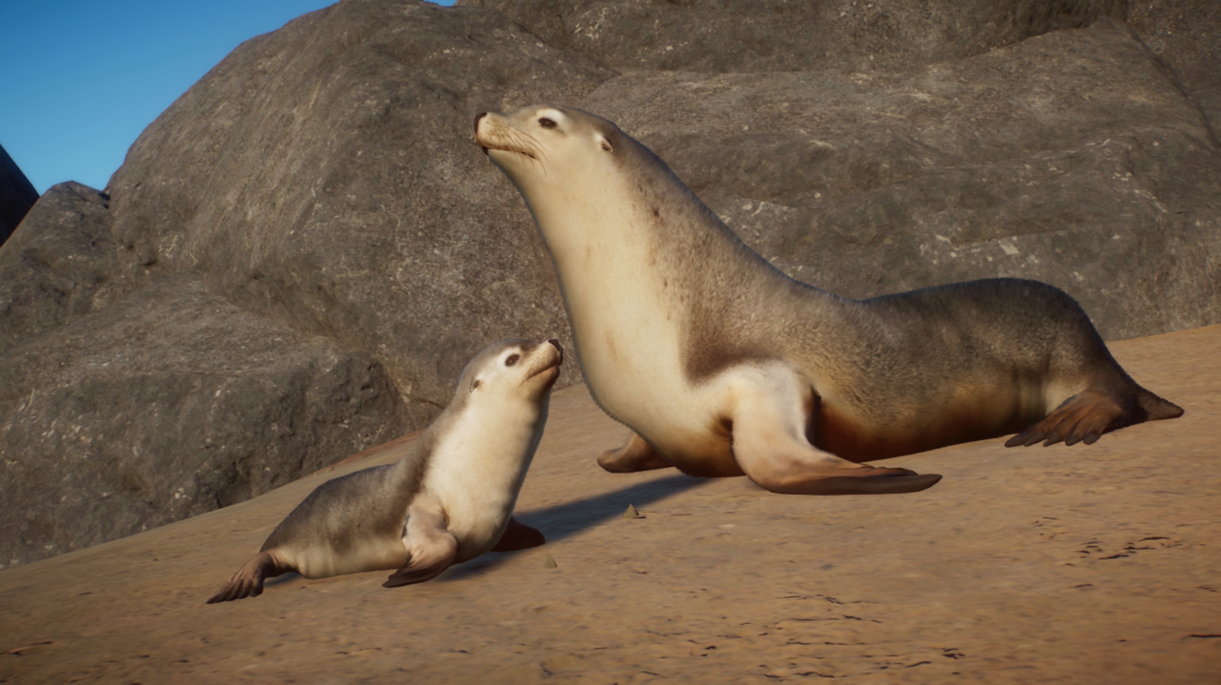 Australian Sea Lion - New Species V1.8 | Planet Zoo Mod Download