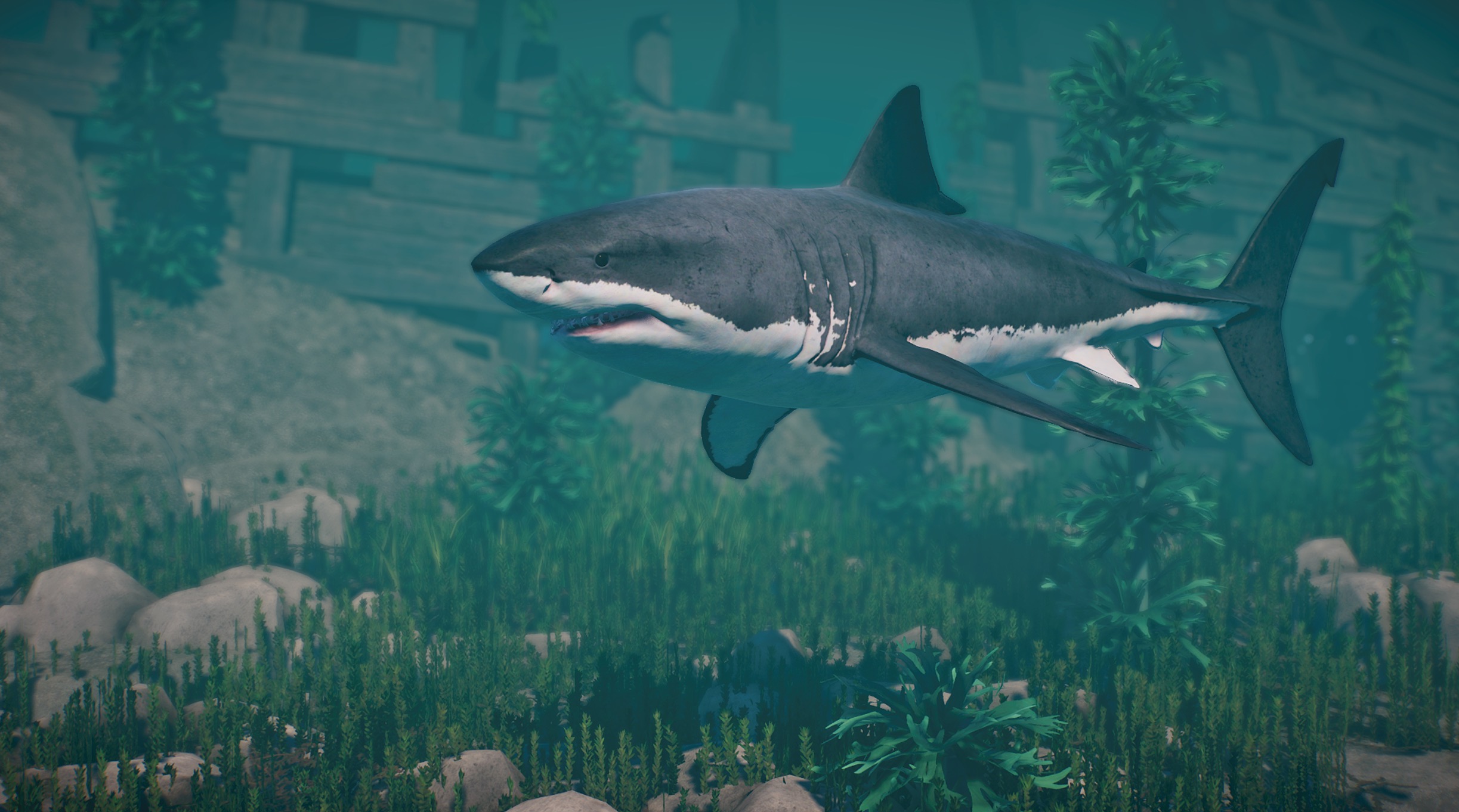 Great white shark card gta 5 фото 90