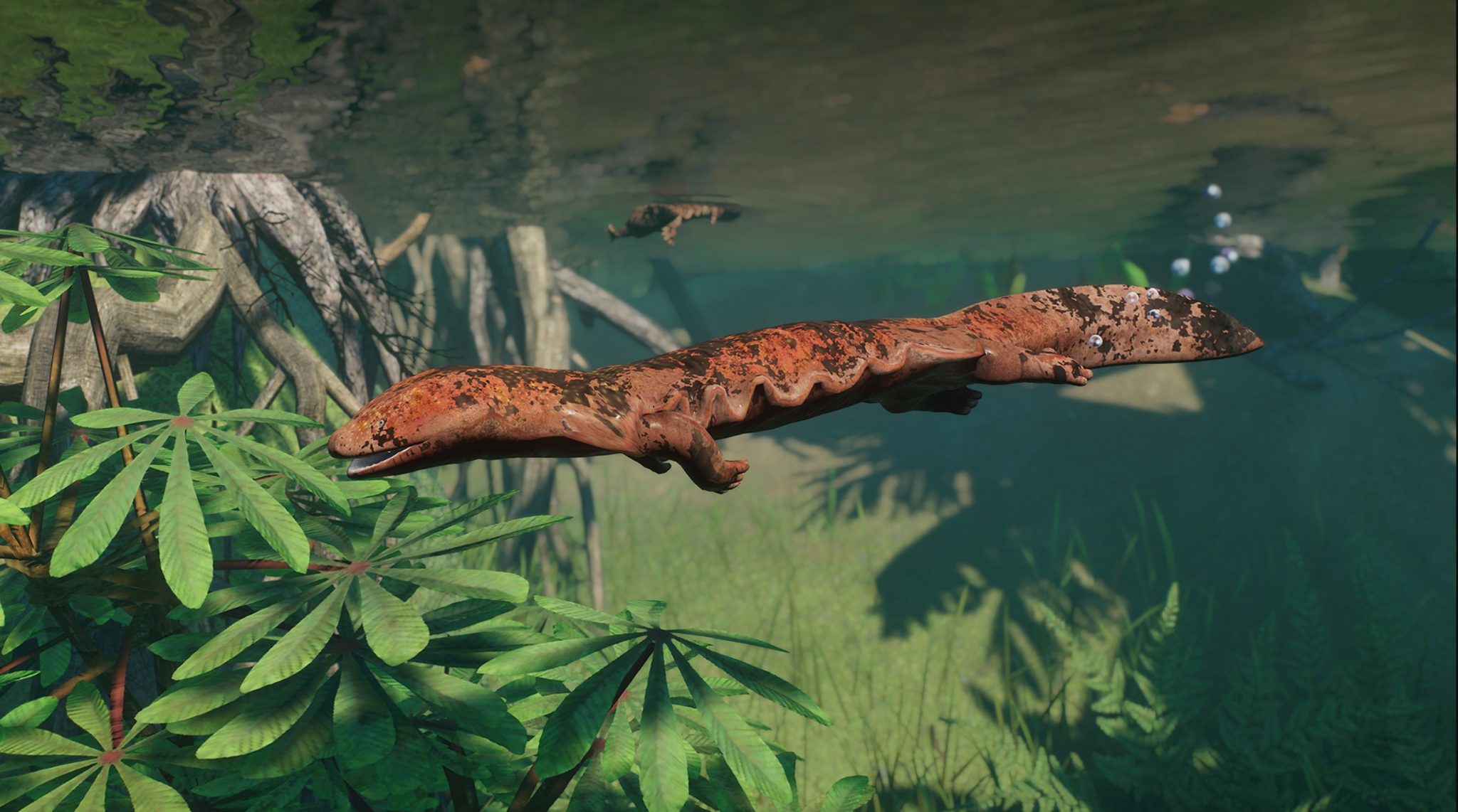 Japanese giant salamander - New Species V1.8 | Planet Zoo Mod Download