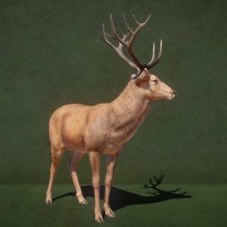 New Species - Barasingha V1.8 | Planet Zoo Mod Download