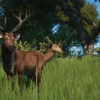 New Species - Barasingha V1.8 | Planet Zoo Mod Download