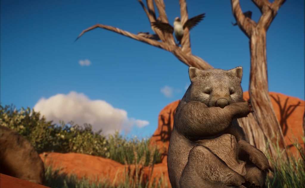 New Species - Common Wombat V1.8 | Planet Zoo Mod Download