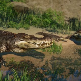 New Species - Deinosuchus Riograndensis V1.8 | Planet Zoo Mod Download