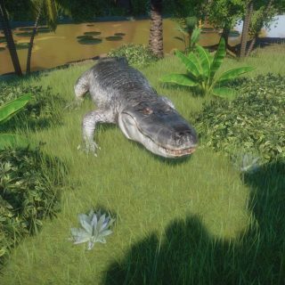 Purussaurus - New Species 1.8 V1.0 