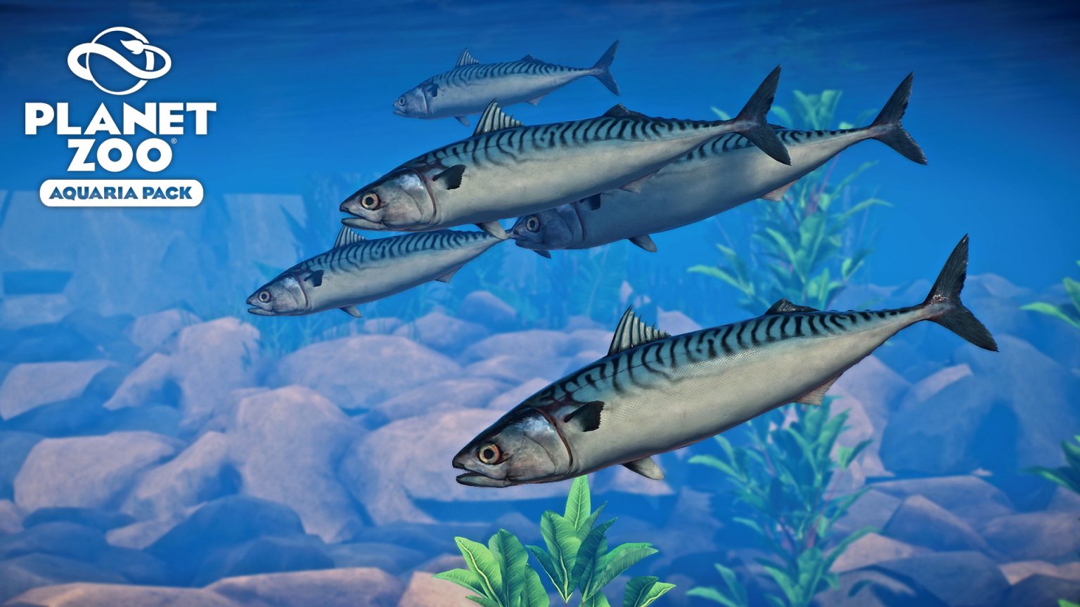 Atlantic Mackerel New Species V1.8 Zoo Mod Download
