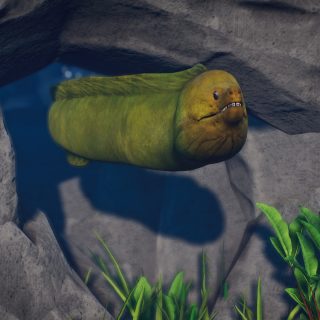 Green Moray Eel - New Species V1.8 | Planet Zoo Mod Download