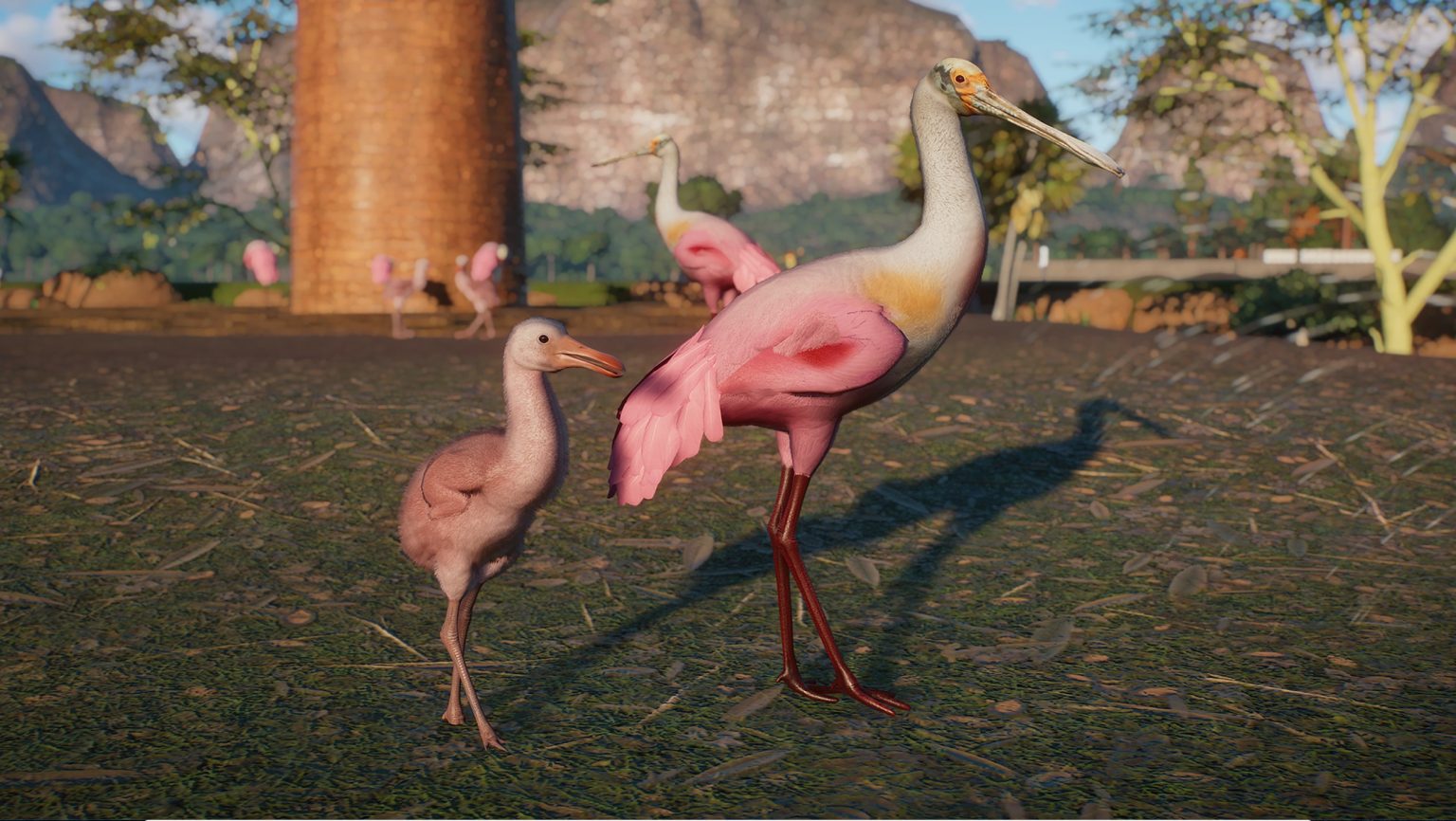 Roseate Spoonbill - New Species V1.9 | Planet Zoo Mod Download