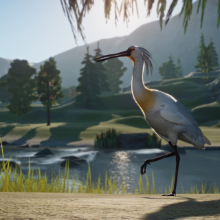 Eurasian Spoonbill - New Species V1.10 | Planet Zoo Mod Download