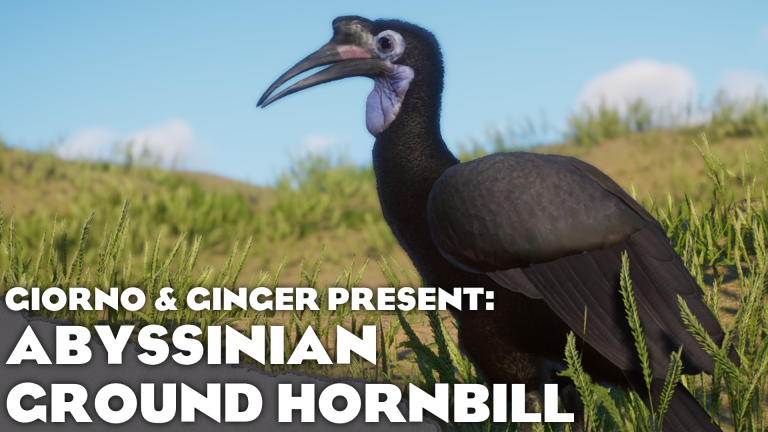 Abyssinian Ground Hornbill - New Species 1.10 V1.10.2 | Planet Zoo Mod