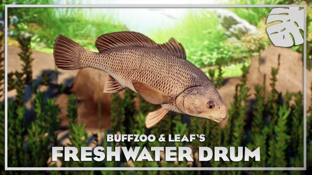 Freshwater Drum New Species V110 Planet Zoo Mod Download