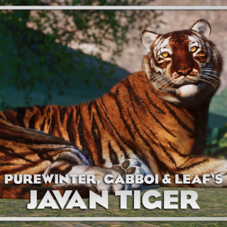 Javan Tiger - New Species V1.10 | Planet Zoo Mod Download