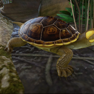Yellow Spotted Amazon River Turtle V1.11 | Planet Zoo Mod Download