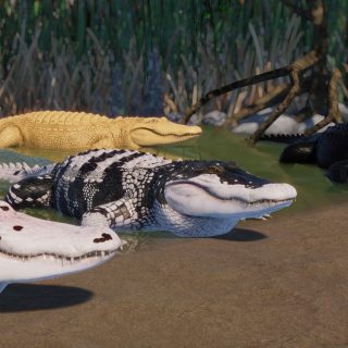 American Alligator Remaster V1.12 ACSE | Planet Zoo Mod Download