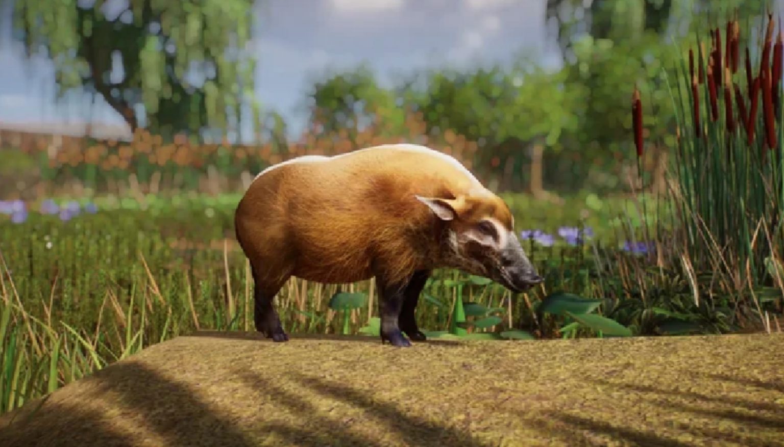 Red River Hog - New Species V1.12 | Planet Zoo Mod Download